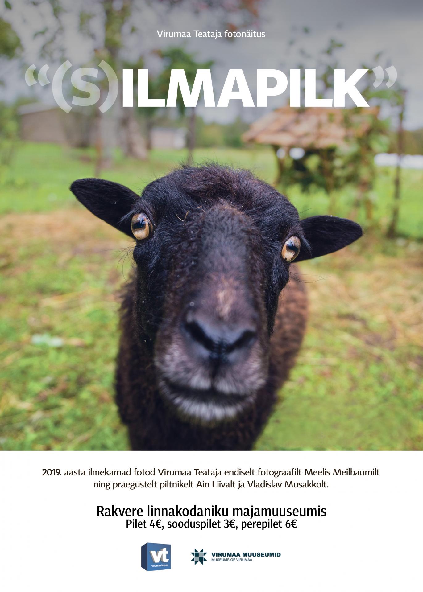 Silmapilk