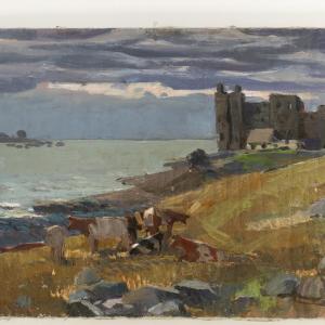 RM _ 6343 K 338:84 Toolse rand, 1961